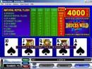 Picture of a Deuces Wild Video Poker Game