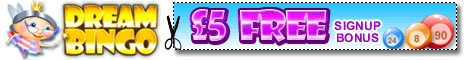 Play Online Bingo at Dream Bingo